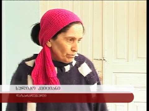 ძლიერმა ქარმა დილიდანვე პრობლემები შექმნა ზუგდიდის მუნიციპალიტეტში.