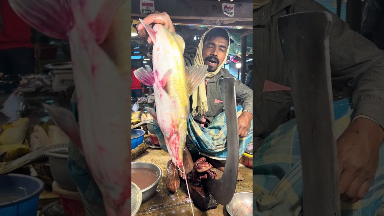 5kg River Tangra fish Cutting 