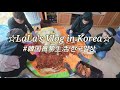 【在韓17年目Vlog/KOR】主人の実家でキムジャン / トッポギ / カムジャタン Ep.125