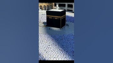 القرآن الكريم غذاء الروح 💗🌼