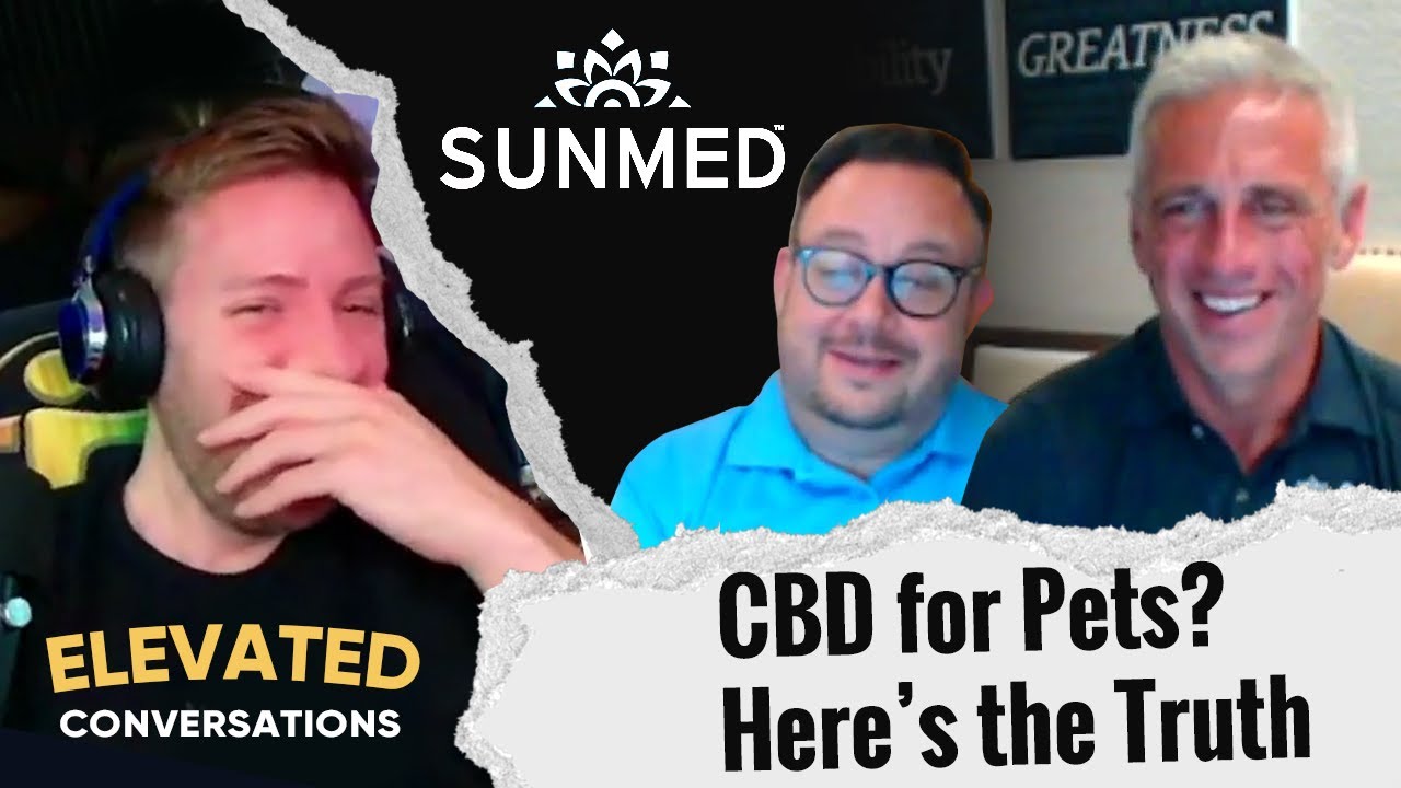 Pet CBD 101 – Safe Dosing for Dogs & Cats