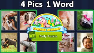 4 Pics 1 Word Daily Puzzle April 3, 2023 Cuteness Overload