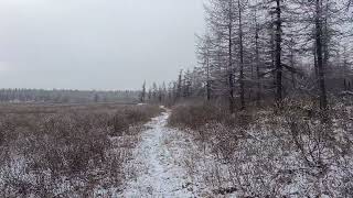 Отдых на охоте. #охота #тепло #зима #лес-тундра