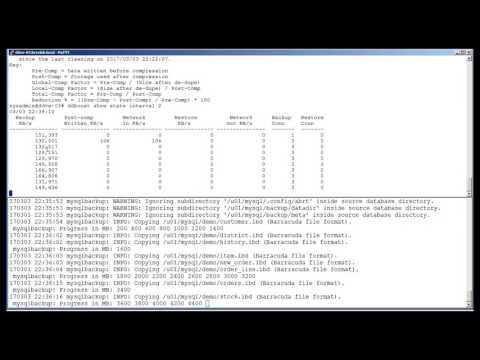 mysql backup using Data Domain boostfs