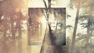 Cloudkicker - Subsume [Full Album | Ambient/Instrumental Metal]