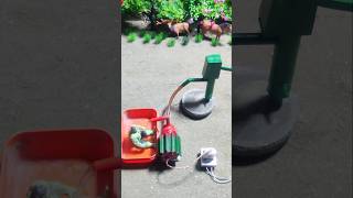 Mini Hand Pump Project Water With Supply Moter Drinks Animal For Farm
