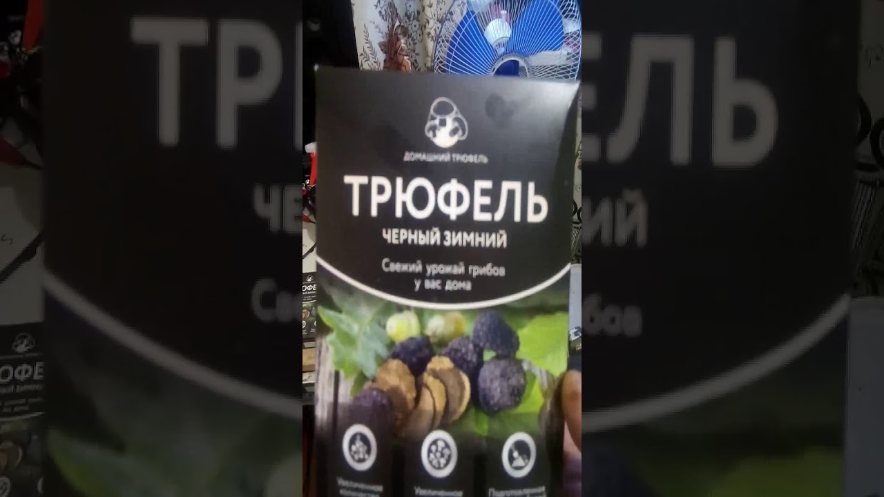 Как правильно пить раф