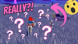 SEARCHING FOR RARE AND EXPENSIVE HORSES ON WILD HORSE ISLANDS. ROBLOX HORSE GAME