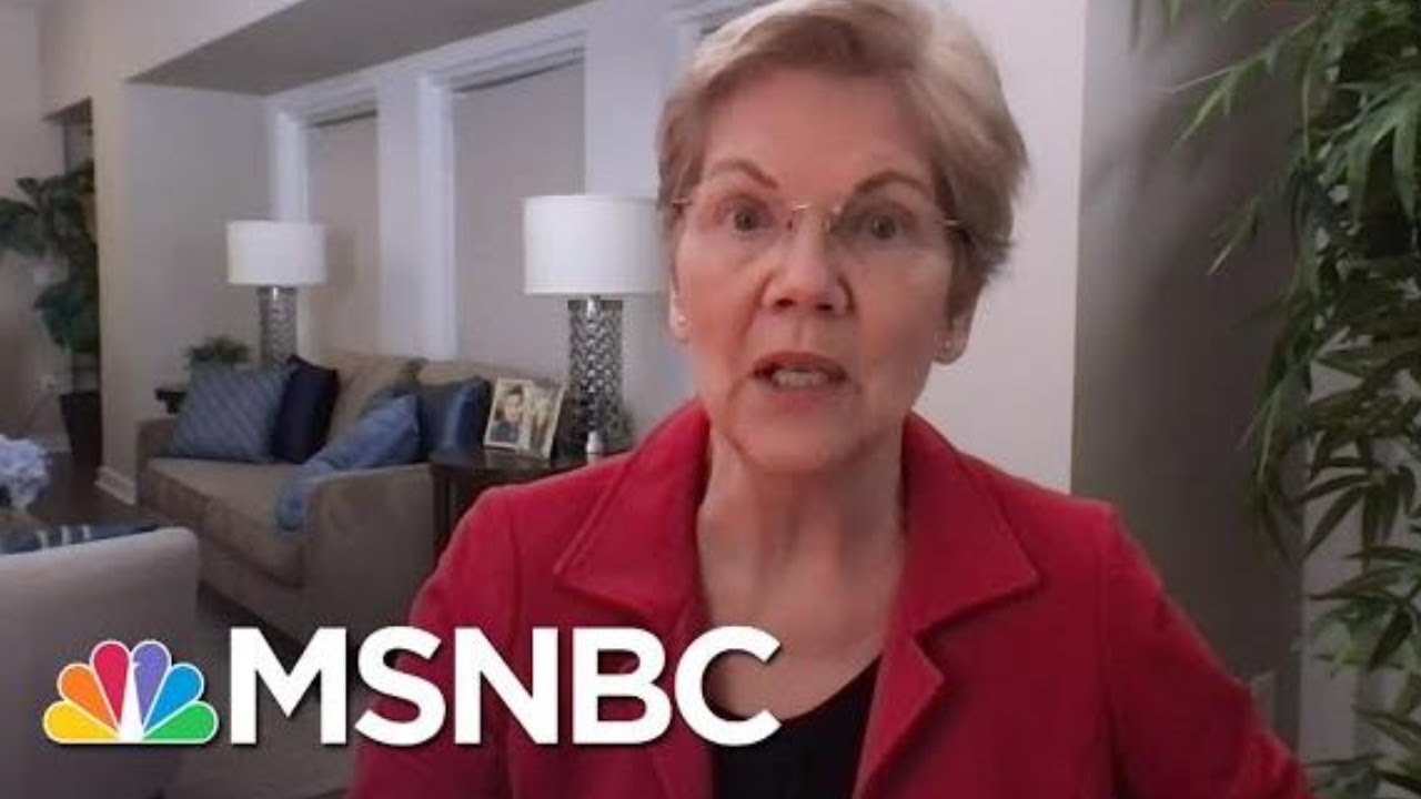 Senator Warren: Filibuster Gives McConnell A Veto Over Democratic Majority | Rachel Maddow | MSNBC
