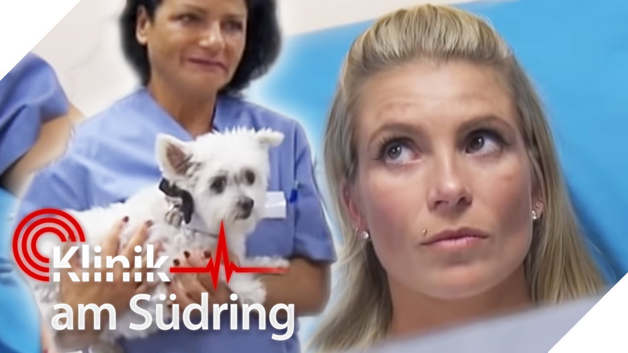 Wem Gehört Henry Der Hund Von Wir In Bayern Tierischer Helfer: Was macht Hund Henry im Krankenzimmer? | Klinik am