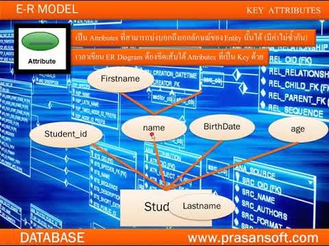 ศึกษาDatabaseด้วยตัวเองตอนที่ 30 ทำความรู้จัก key attribute