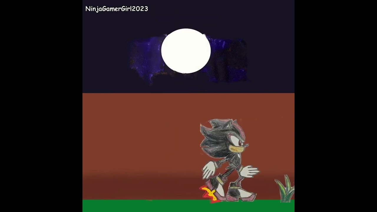 Shadow Skating in the Moonlight - Experimental Animation 