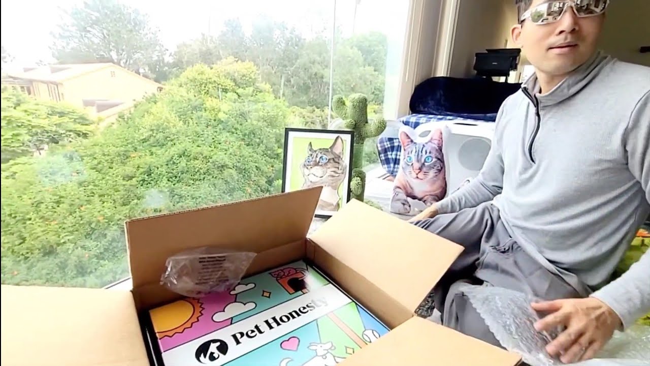 Unboxing New Caturday Goodies Package featuring Cat Toys, Treats, Pet Art & Health Care Supplements