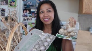 Storing garlic. homegrown or store bought how to below are affiliate
links. if you make a purchase,??? i??? earn commission! your support
w...