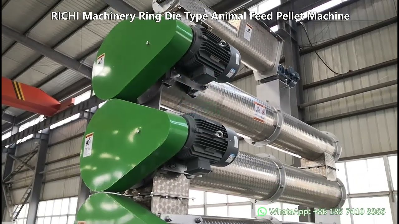 RICHI Ring Die Pellet Mill for Your Feed & Biomass Production