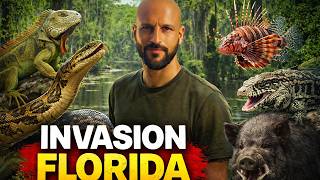 Invasive Species Crisis in Florida