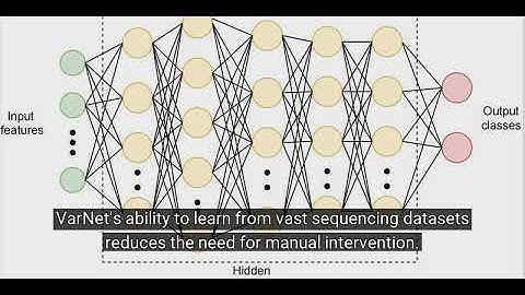 🧬 VarNet: AI-Powered Tool for Accurate Cancer Mutation Detection | Tanzanite AI
