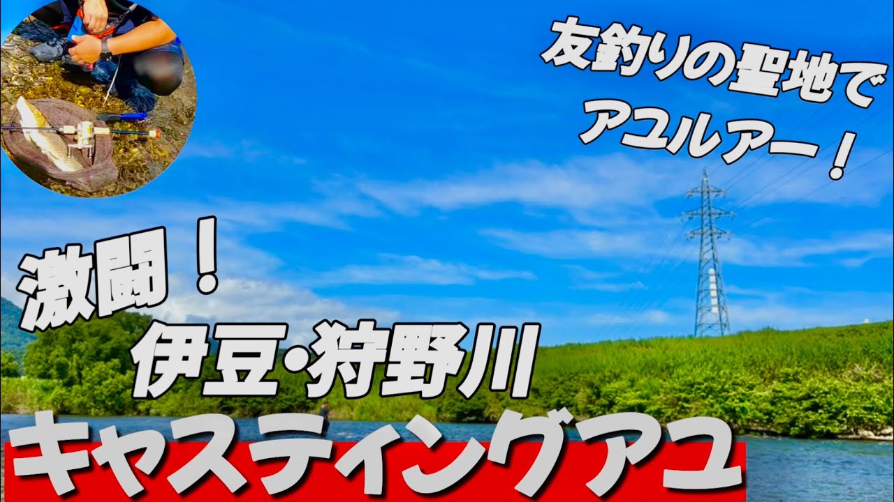 【激闘】伊豆狩野川キャスティングアユ
