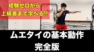 【完全版】ムエタイの基本動作!!~細かい足運びからパンチや蹴りの打ち方を完全解説~