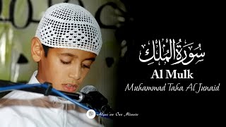 Bacaan Al-Quran Merdu Surat Al-Mulk | Muhammad Taha Al Junaid | (Terjemahan ID/ENG)