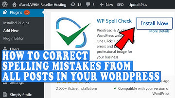 How to correct spelling mistakes from all the posts in WordPress?