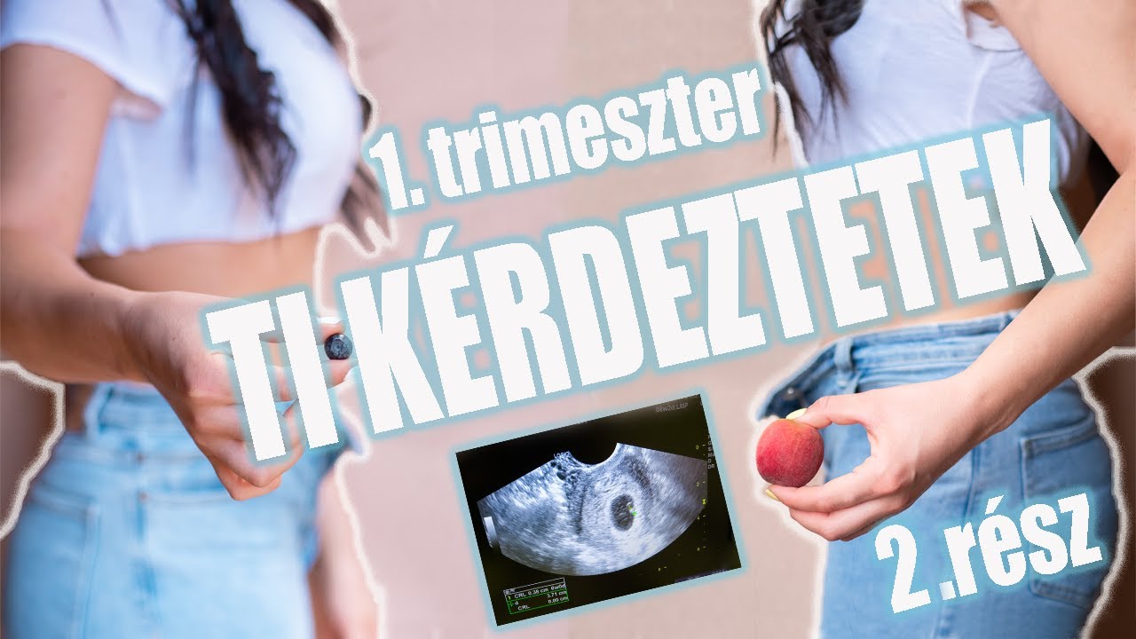 VÁLASZOLOK A KÉRDÉSEITEKRE | Első trimeszter | 2.rész