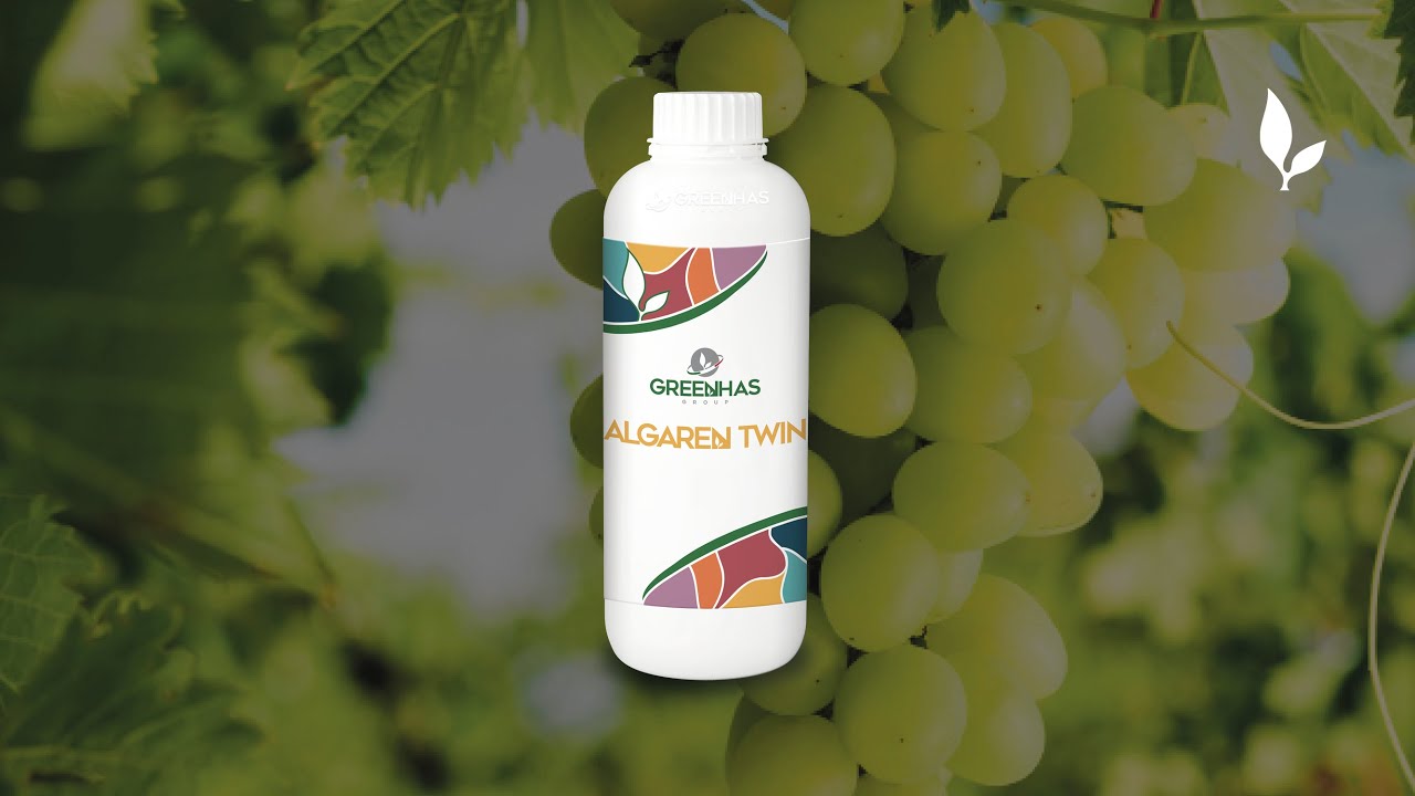 Algaren Twin - Product video