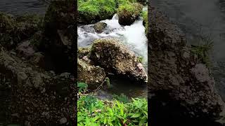 This waterfall is more dangerous if it doesn't flow into the river #nature #short #beautiful #river