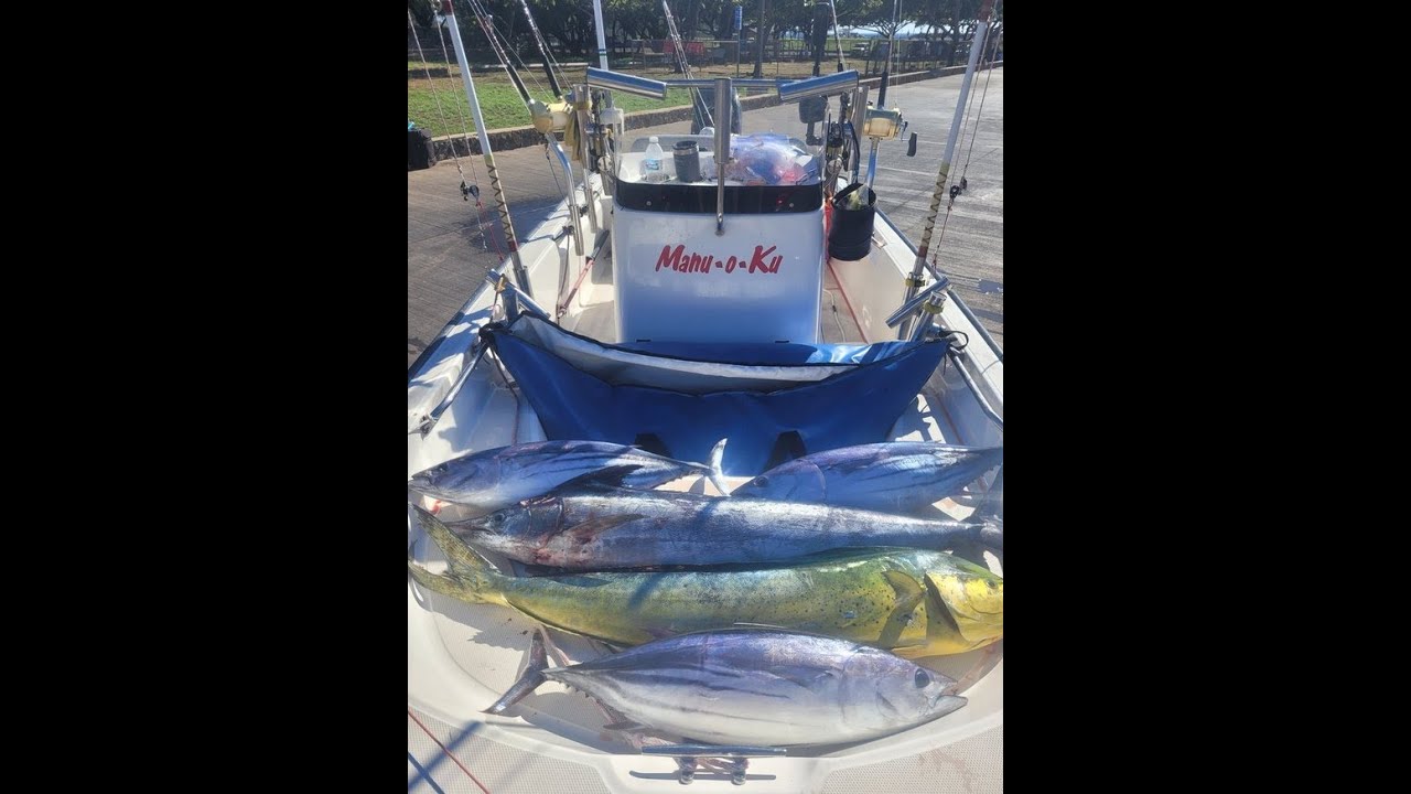 Marlin, Mahimahi, and Skipjack Tuna; Waianae Oahu Hawaii on the Manu o