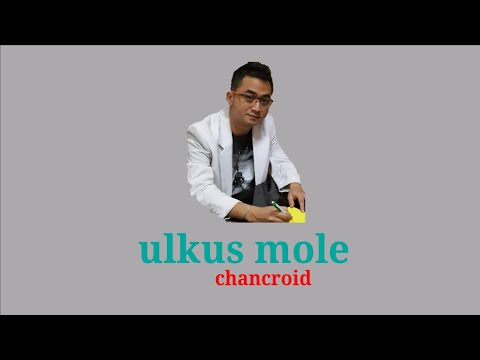 Ulkus mole, chancroid, dokter spesialis kulit dan kelamin