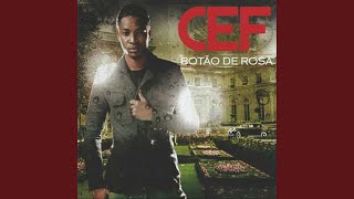 Botão Rosa