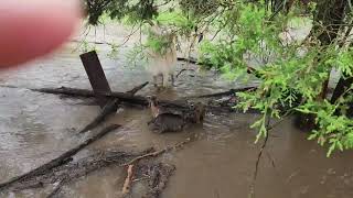 Moving Kids Out of the Flood