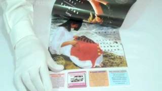 A3 Size Calendars | Calendar Printing Services screenshot 5
