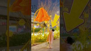 Interesting flower lanterns