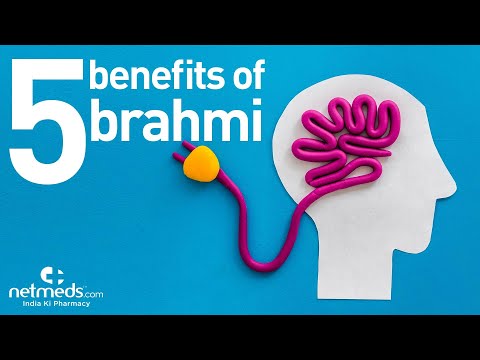 Top 5 Benefits Of Brahmi