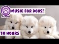 Anti Anxiety Music for Dogs! Cure Depression in Your Puppies! Help your Dog Relax!