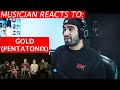 Pentatonix - Gold (cover) - Musician's Reaction