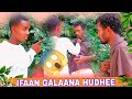 IFAAN MARAATEE GALAANA QABATEE UDHEE AJESUUF IFAAN MARAATEE GALAANA QABATEE UDHEE AJESUUF