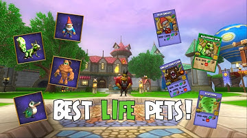 OP Life Pets! | Wizard101
