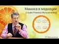 Мимика в медиации (стрим Романа Мельниченко)