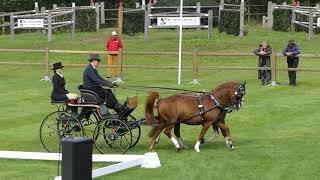 33 Weihe Christof, Ger, Wch Ponies, P2, Oirschot Ned, Part Of Dressage, 31 08 2023