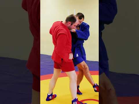 Видео: SWEEP SHWUNG. Tips. Sila partera. Sambo academy #Shorts #sambo #judo #bjj