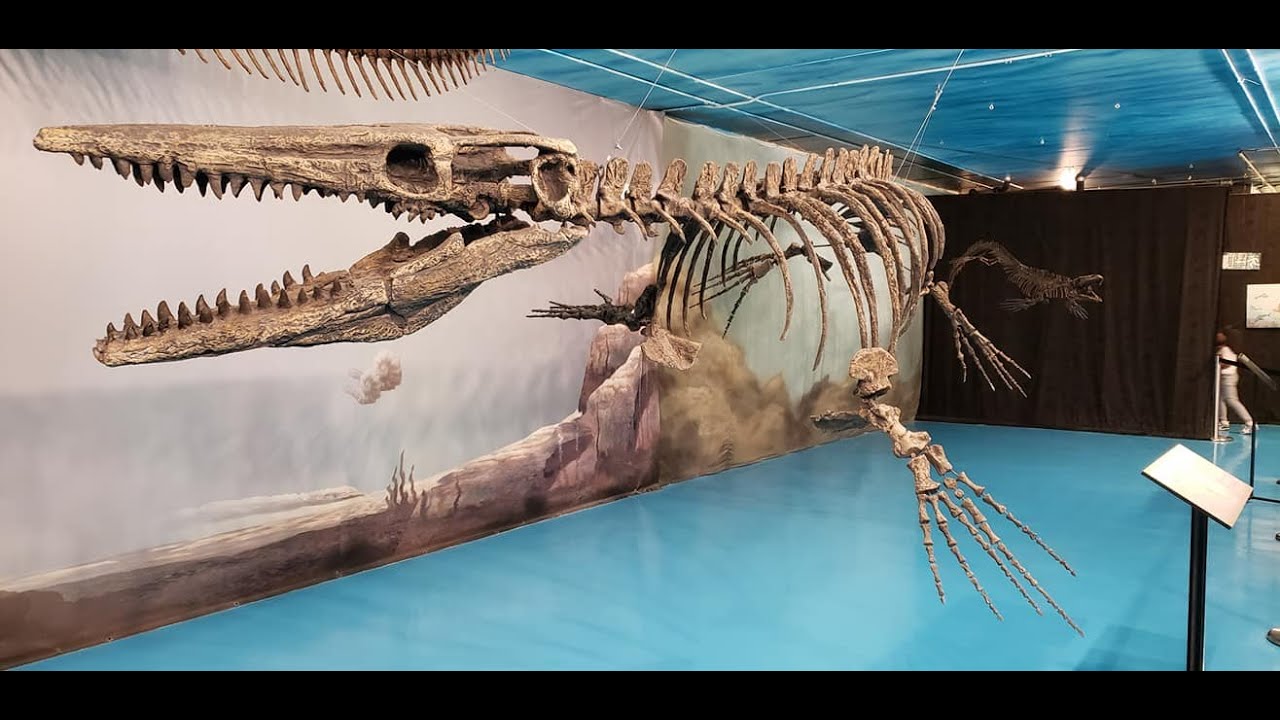 A day at Canadian Fossil Discovery Centre @Morden ,Manitoba.