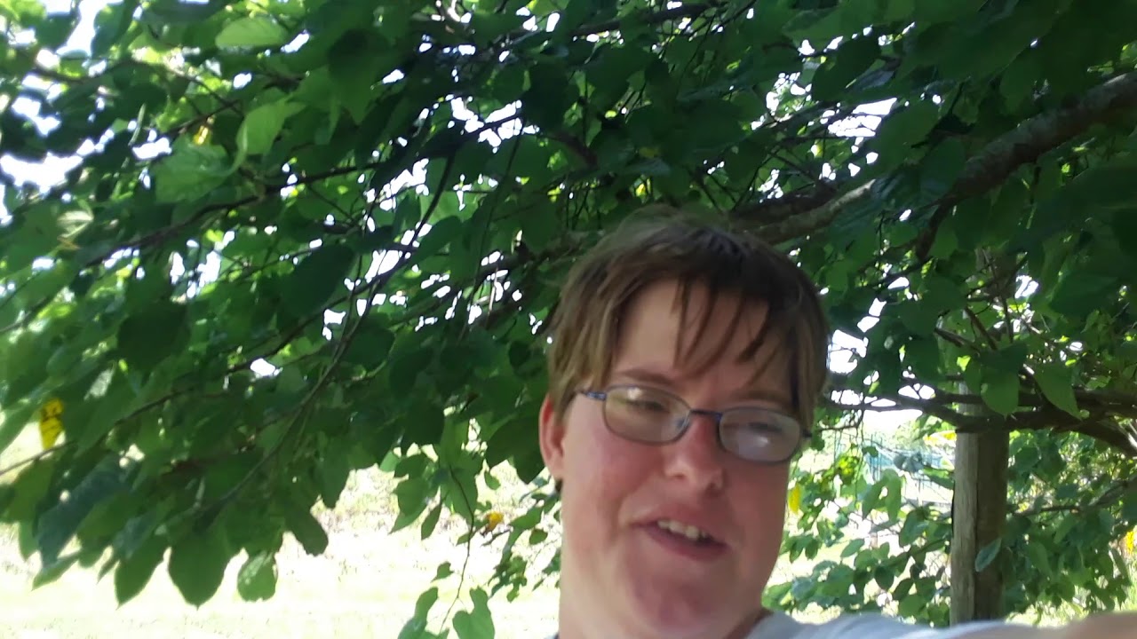 Jessica TATE and YouTube