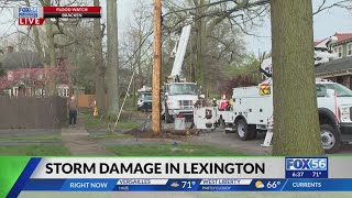 Lexington severe storms sees trees, powerlines downed
