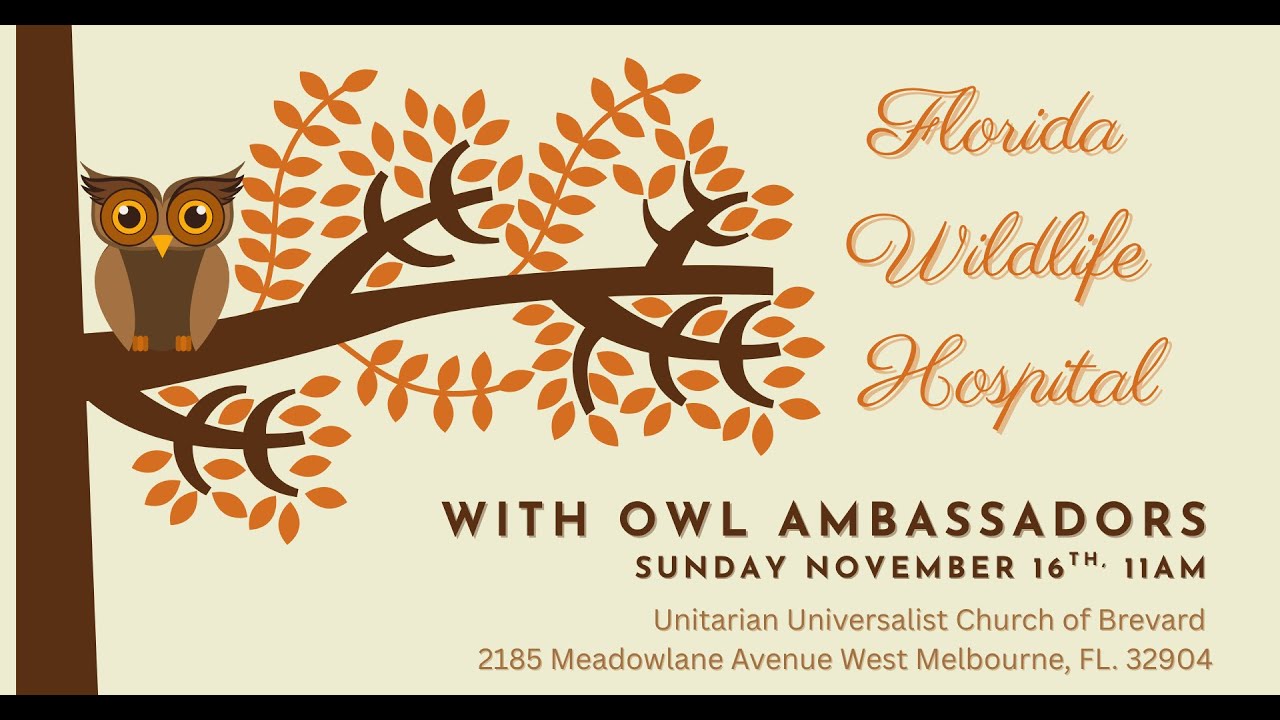 11-16 -25 Highlights from  Florida Wildlife Hospital - with Animal Ambassadors