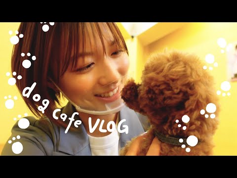 【vlog】阿部華也子の休日☀️ ドッグカフェに遊びに行きました🐶💕