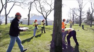 Tree Appraisal Qualification 3 day Training
