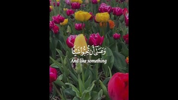 وعسى أن تكرهوا شيئا" وهو خير لكم#قران#تلاوات