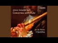 Orchestral Suite No 2 In B Minor BWV 1067 III Sarabande mp3